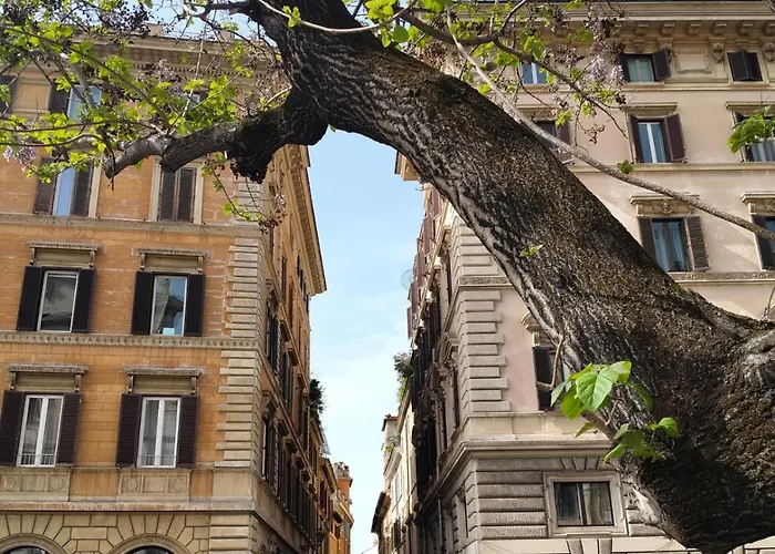 Vatican Near Sweet Home Terrace